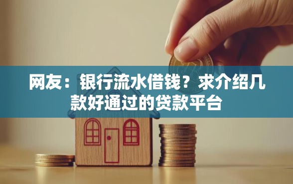 网友：银行流水借钱？求介绍几款好通过的贷款平台