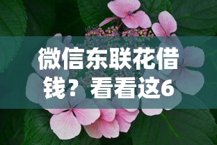 微信东联花借钱？看看这6个黑口子怎么样