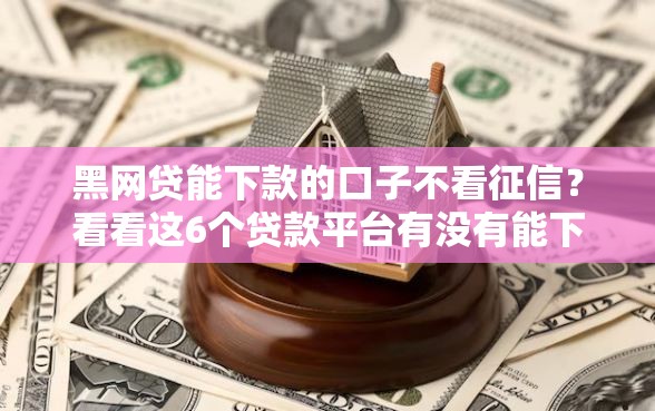 黑网贷能下款的口子不看征信？看看这6个贷款平台有没有能下款的