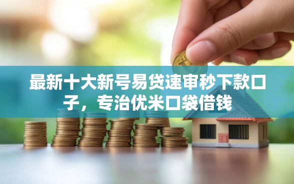 最新十大新号易贷速审秒下款口子，专治优米口袋借钱