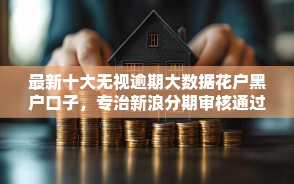 最新十大无视逾期大数据花户黑户口子，专治新浪分期审核通过不了