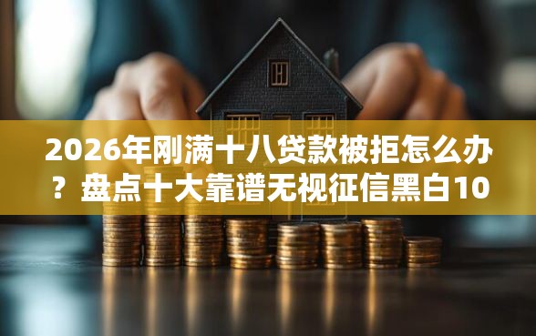 2026年刚满十八贷款被拒怎么办？盘点十大靠谱无视征信黑白100%秒下网贷口子