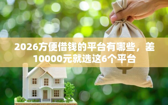 2026方便借钱的平台有哪些，差10000元就选这6个平台