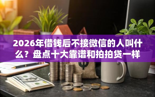2026年借钱后不接微信的人叫什么？盘点十大靠谱和拍拍贷一样容易借钱的平台