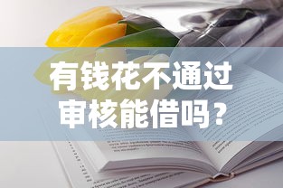 有钱花不通过审核能借吗？1万元无门槛借款平台推荐，7个小微企业贷款平台盘点