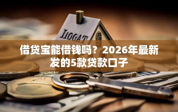 借贷宝能借钱吗？2026年最新发的5款贷款口子
