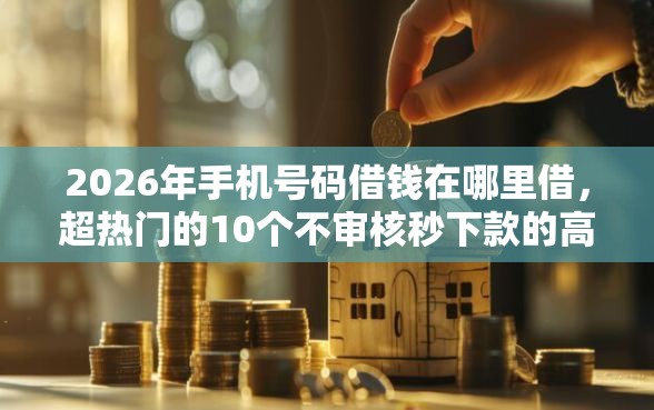 2026年手机号码借钱在哪里借，超热门的10个不审核秒下款的高炮口子推荐