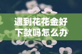 遇到花花金好下款吗怎么办？或可尝试这5个和摇钱花一样的平台