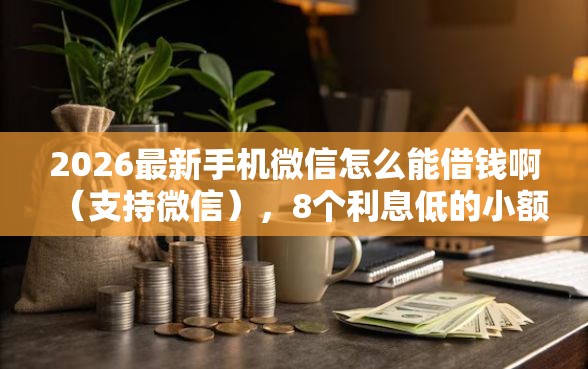 2026最新手机微信怎么能借钱啊(支持微信),8个利息低的小额贷款平台无私分享 2026最新手机微信怎么能借钱啊(支持微信),8个利息低的小额贷款平台无私分享