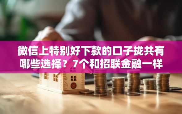 微信上特别好下款的口子拢共有哪些选择？7个和招联金融一样的贷款平台详解