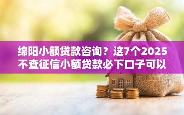 绵阳小额贷款咨询？这7个2025不查征信小额贷款必下口子可以试试
