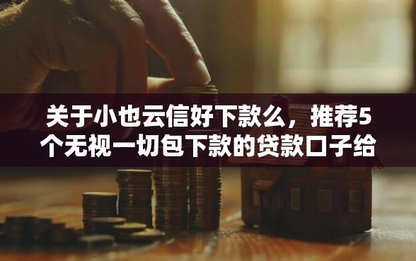 关于小也云信好下款么，推荐5个无视一切包下款的贷款口子给你
