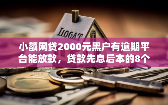 小额网贷2000元黑户有逾期平台能放款，贷款先息后本的8个平台介绍