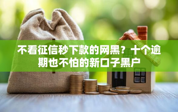 不看征信秒下款的网黑？十个逾期也不怕的新口子黑户