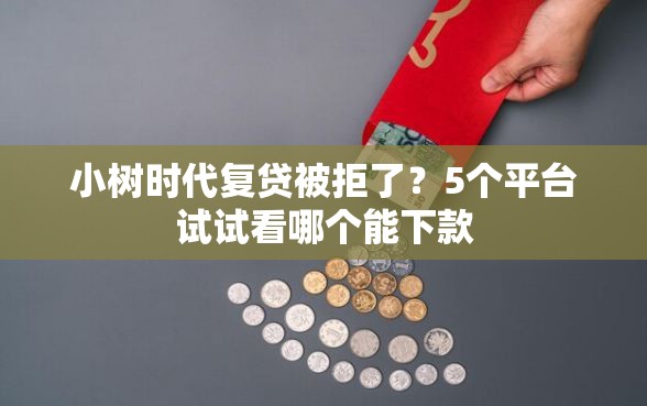 小树时代复贷被拒了？5个平台试试看哪个能下款