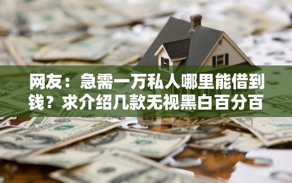 网友：急需一万私人哪里能借到钱？求介绍几款无视黑白百分百下款的借款口子