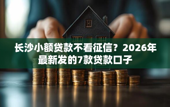 长沙小额贷款不看征信？2026年最新发的7款贷款口子