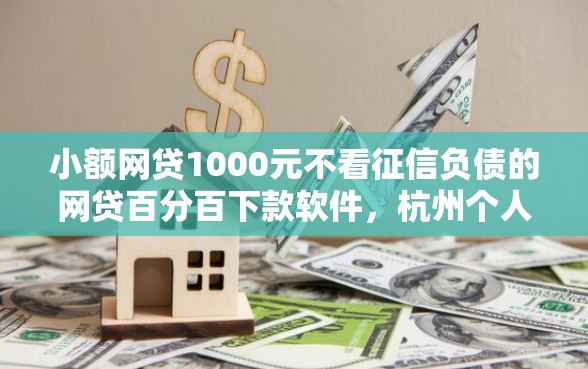 小额网贷1000元不看征信负债的网贷百分百下款软件，杭州个人贷款公司的7个平台介绍