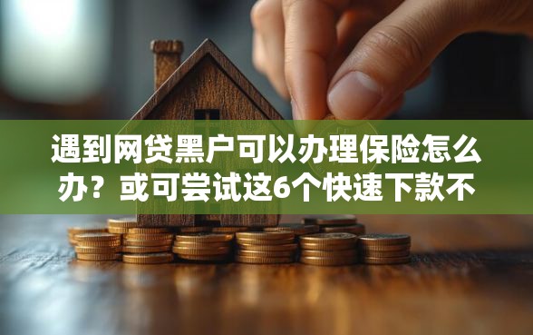 遇到网贷黑户可以办理保险怎么办？或可尝试这6个快速下款不看资质的贷款平台平台