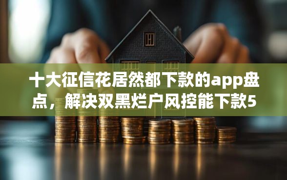 十大征信花居然都下款的app盘点，解决双黑烂户风控能下款5000的问题