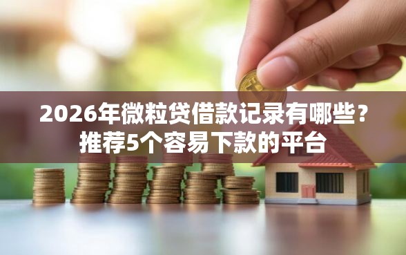 2026年微粒贷借款记录有哪些？推荐5个容易下款的平台