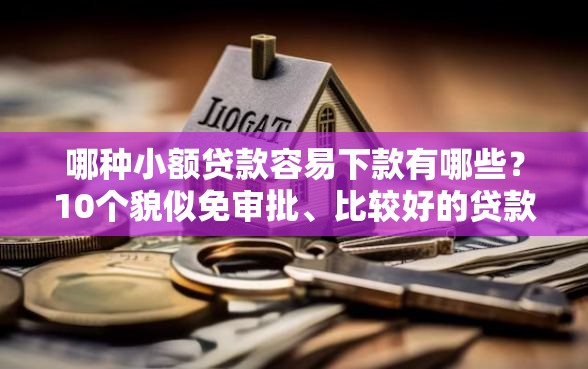 哪种小额贷款容易下款有哪些？10个貌似免审批、比较好的贷款平台合集