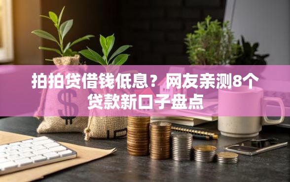 拍拍贷借钱低息？网友亲测8个贷款新口子盘点