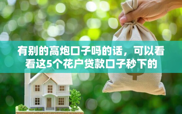有别的高炮口子吗的话，可以看看这5个花户贷款口子秒下的