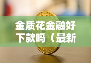 金质花金融好下款吗（最新发布！）9个企业贷款平台