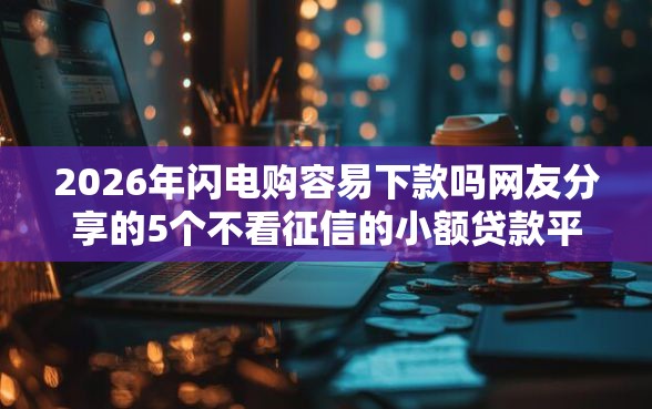 2026年闪电购容易下款吗网友分享的5个不看征信的小额贷款平台我觉得不错！