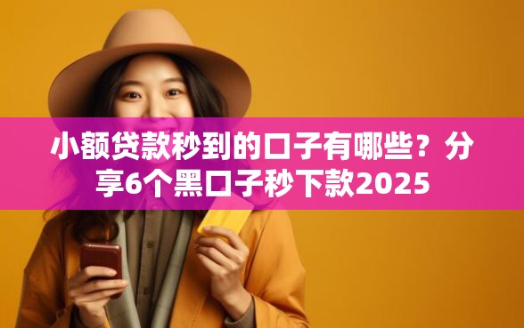 小额贷款秒到的口子有哪些？分享6个黑口子秒下款2025
