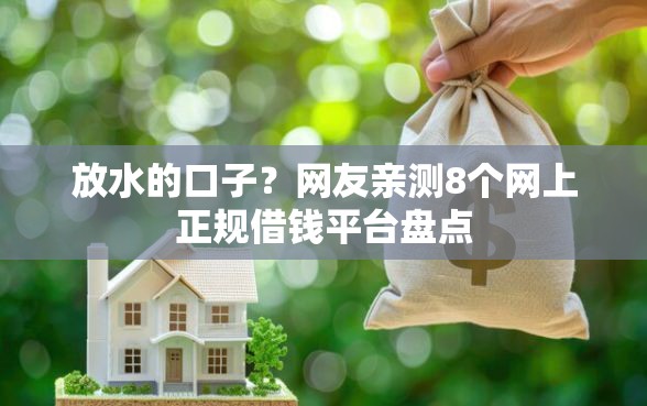 放水的口子？网友亲测8个网上正规借钱平台盘点