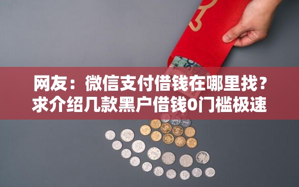 网友：微信支付借钱在哪里找？求介绍几款黑户借钱0门槛极速下款平台