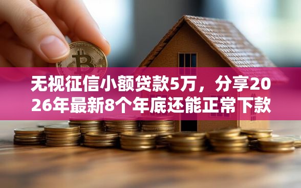 无视征信小额贷款5万，分享2026年最新8个年底还能正常下款的平台