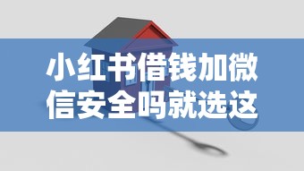 小红书借钱加微信安全吗就选这8个20000元加盟贷款平台做代理