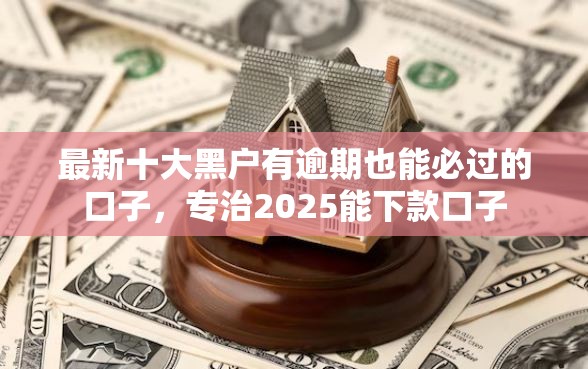 最新十大黑户有逾期也能必过的口子，专治2025能下款口子