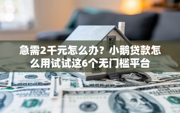 急需2千元怎么办？小鹅贷款怎么用试试这6个无门槛平台