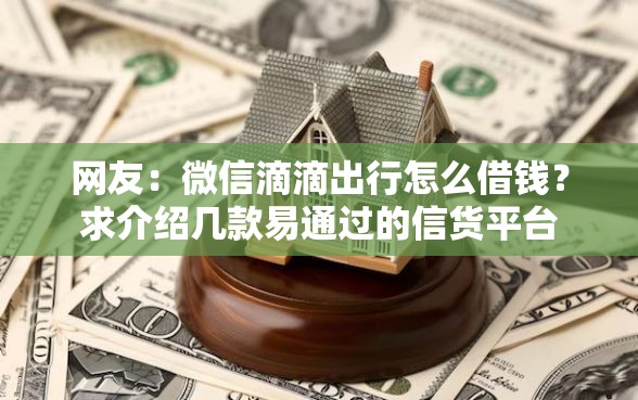 网友：微信滴滴出行怎么借钱？求介绍几款易通过的信货平台