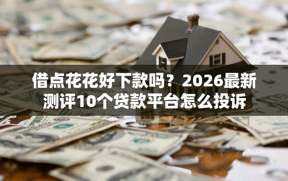 借点花花好下款吗？2026最新测评10个贷款平台怎么投诉