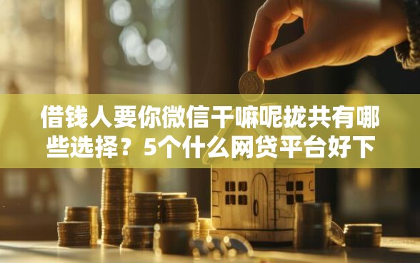 借钱人要你微信干嘛呢拢共有哪些选择?5个什么网贷平台好下款详解 借钱人要你微信干嘛呢拢共有哪些选择?5个什么网贷平台好下款详解