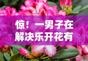 惊!一男子在解决乐开花有额度不下款时竟然发现7个最新能下来钱的软件,事后分享了出来 惊!一男子在解决乐开花有额度不下款时竟然发现7个最新能下来钱的软件,事后分享了出来