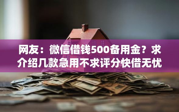 网友：微信借钱500备用金？求介绍几款急用不求评分快借无忧的app