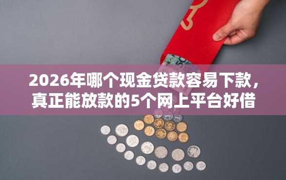 2026年哪个现金贷款容易下款，真正能放款的5个网上平台好借钱推荐