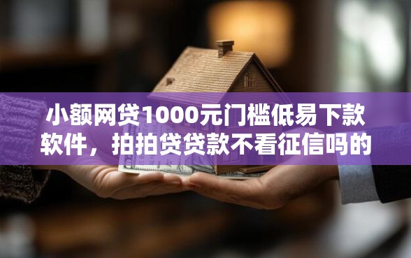 小额网贷1000元门槛低易下款软件，拍拍贷贷款不看征信吗的6个平台介绍
