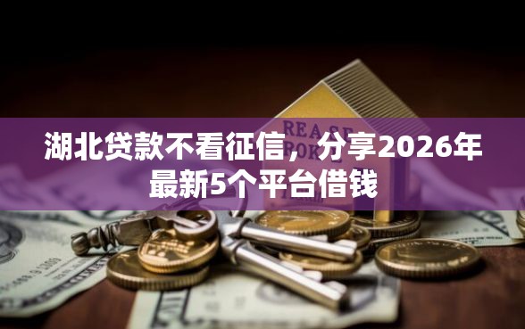 湖北贷款不看征信，分享2026年最新5个平台借钱