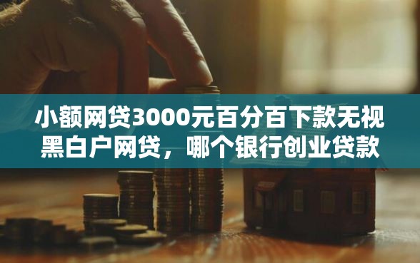 小额网贷3000元百分百下款无视黑白户网贷，哪个银行创业贷款好下款的5个平台介绍