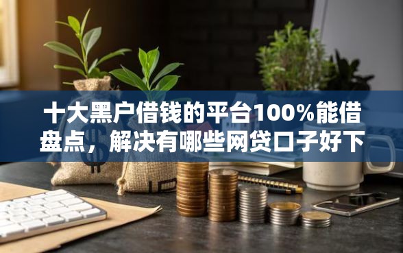 十大黑户借钱的平台100%能借盘点，解决有哪些网贷口子好下款的问题