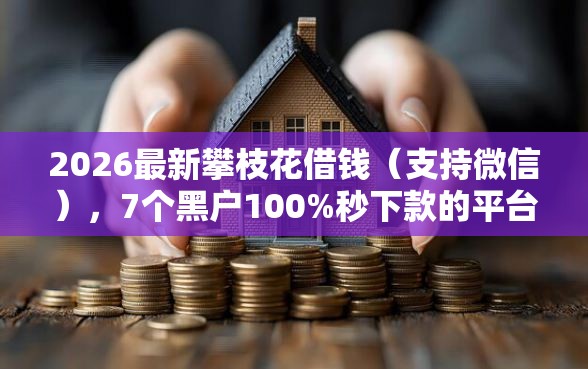 2026最新攀枝花借钱（支持微信），7个黑户100%秒下款的平台无私分享