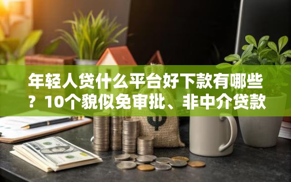 年轻人贷什么平台好下款有哪些?10个貌似免审批、非中介贷款平台合集 年轻人贷什么平台好下款有哪些?10个貌似免审批、非中介贷款平台合集