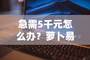 急需5千元怎么办？萝卜易购好下款吗试试这7个无门槛平台